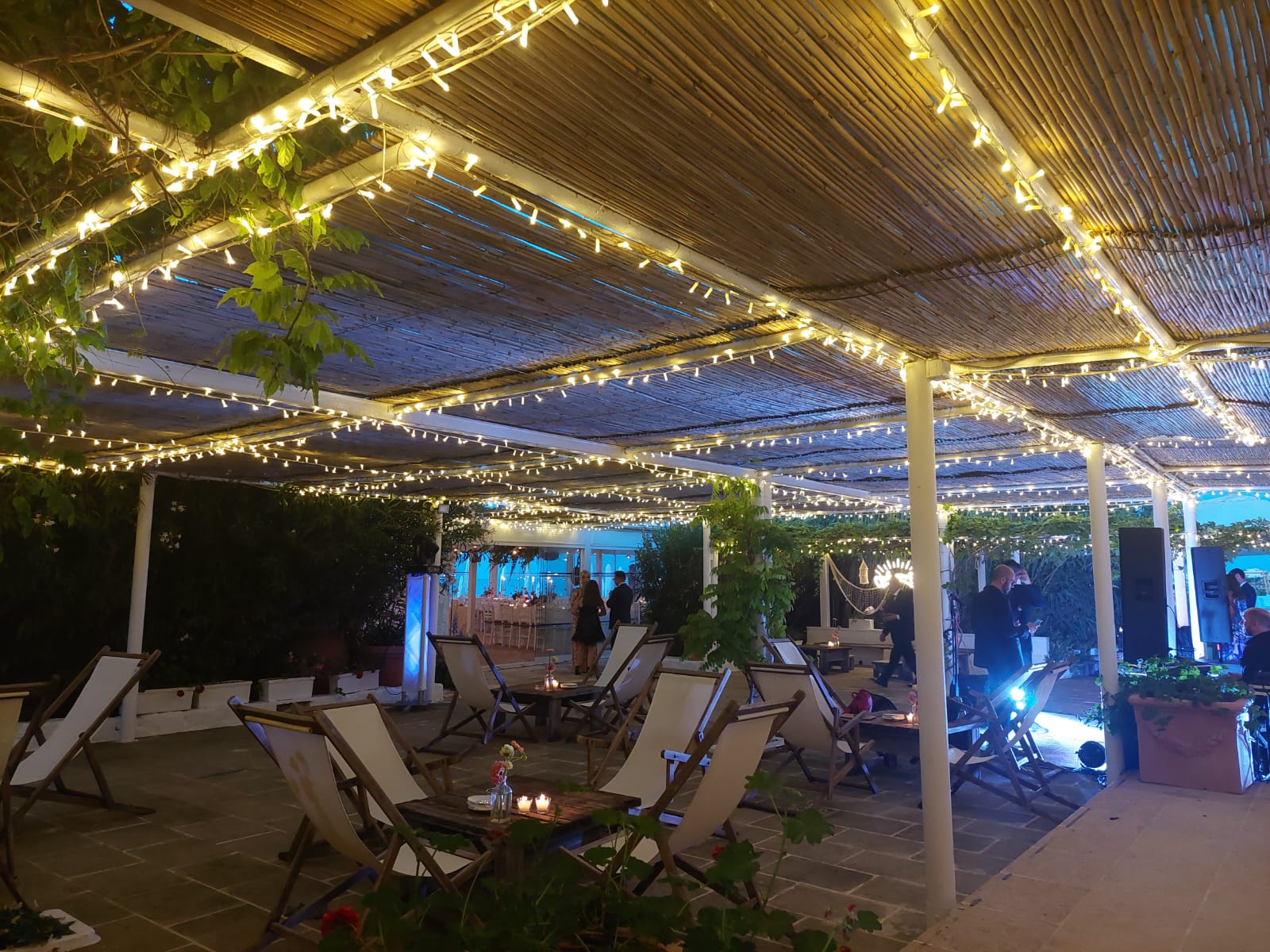 Fairylights profilo (3)