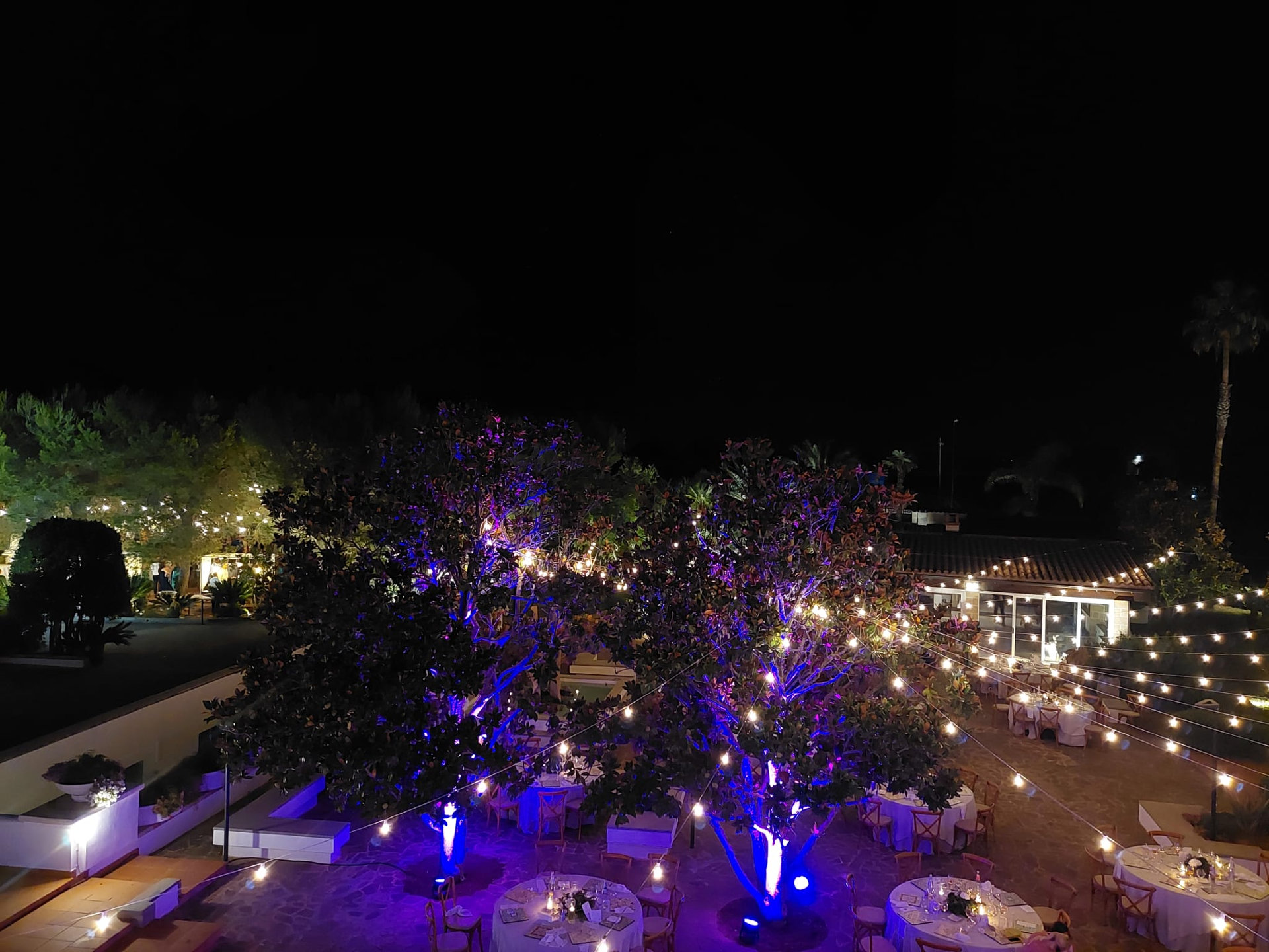 IMG-20230820-WA0002_result