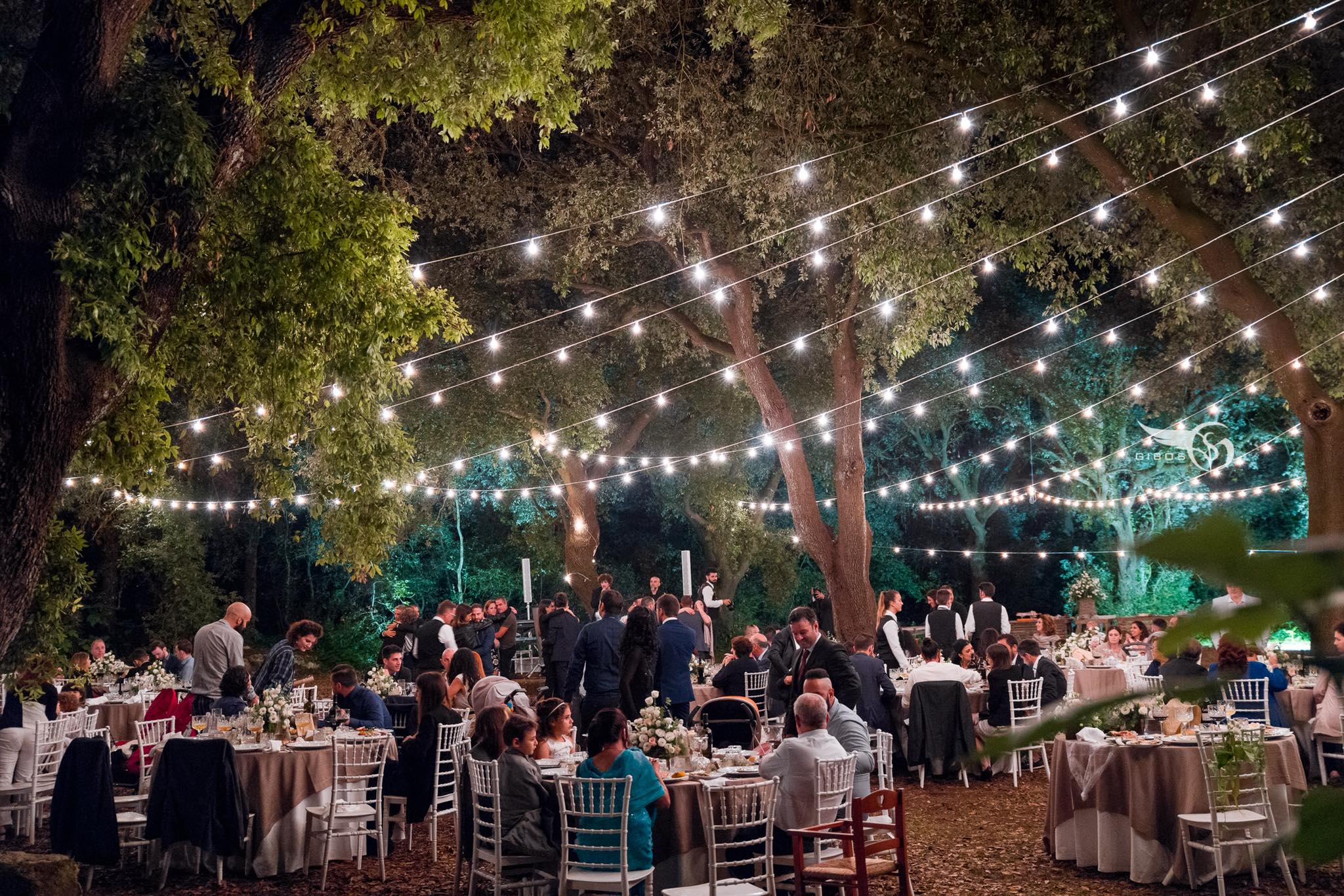 La Cutura – Cielo appeso bosco (6)