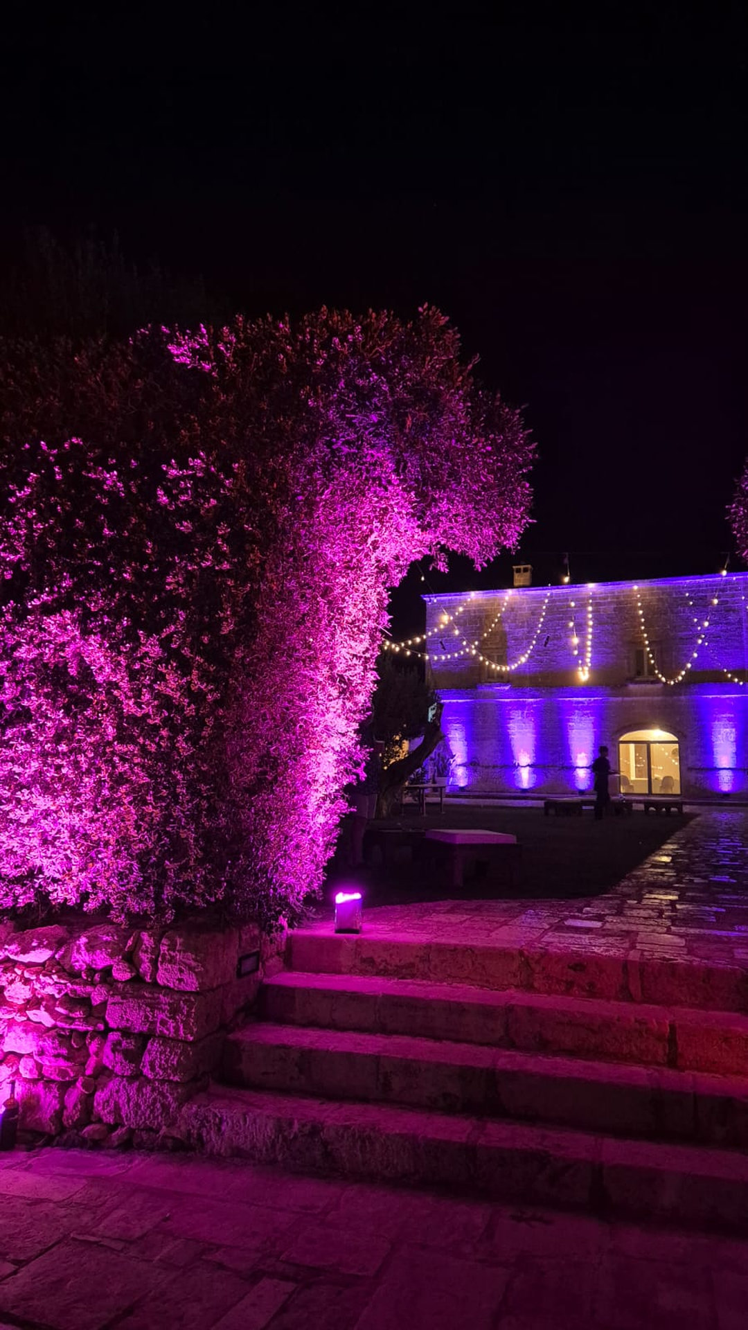 bIMG-20240920-WA0021_result