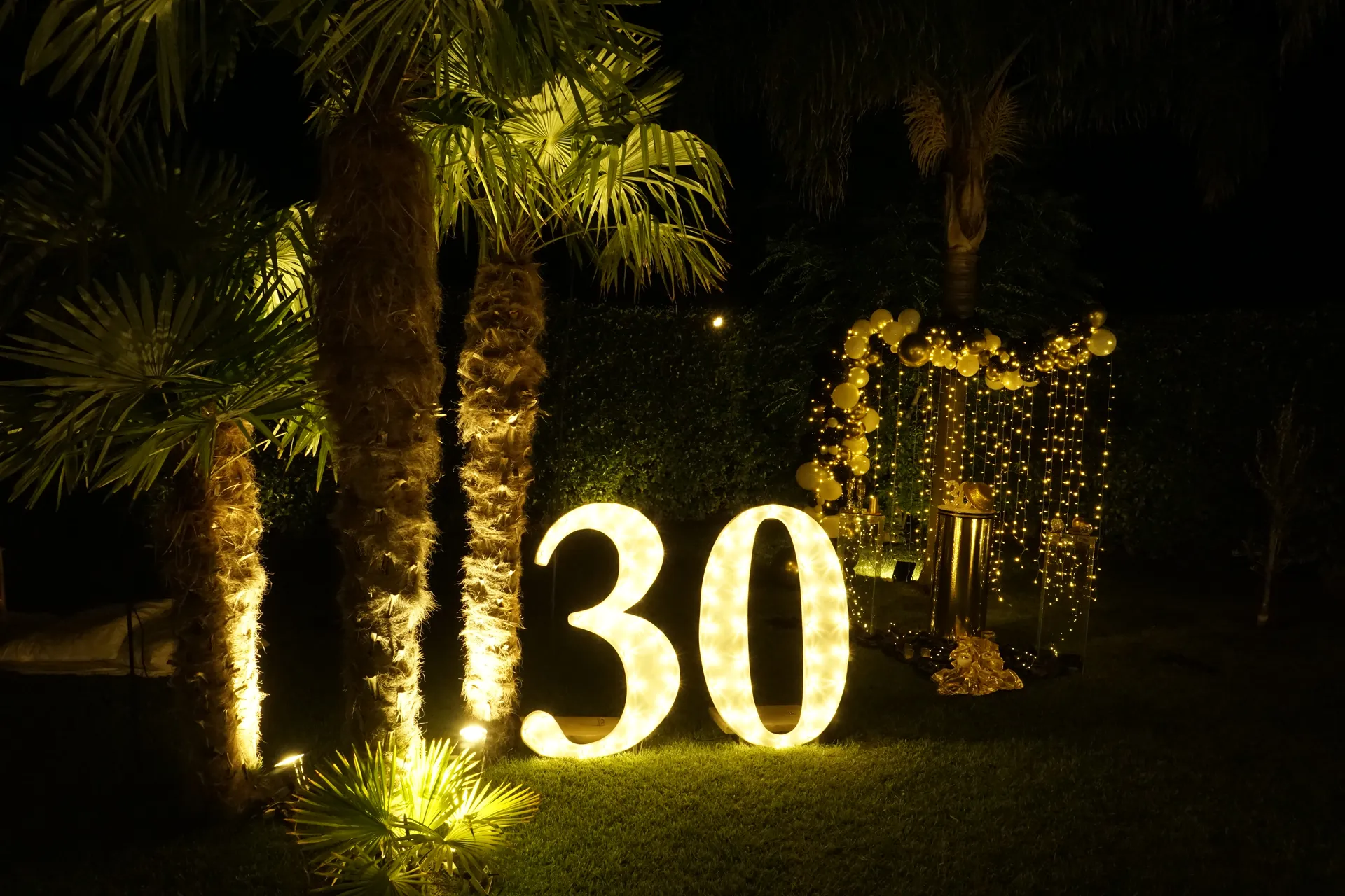 numeri luminosi 30_result